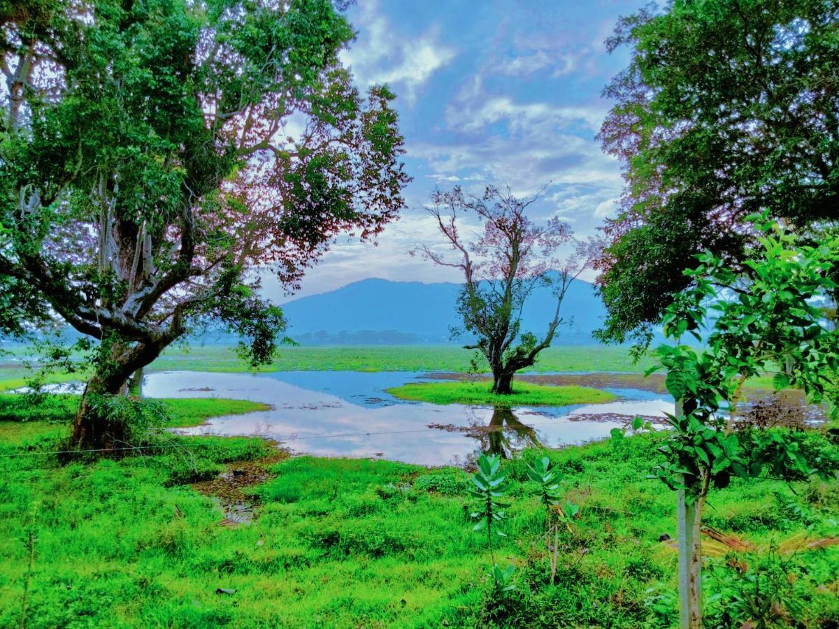 Lake Front Yala Safari Kataragama Exterior foto