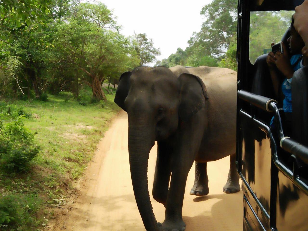 Lake Front Yala Safari Kataragama Exterior foto